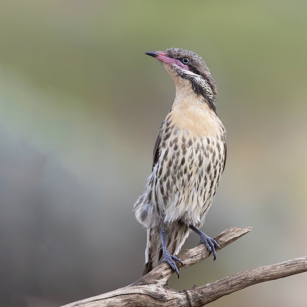 Sandy Horne tweet media