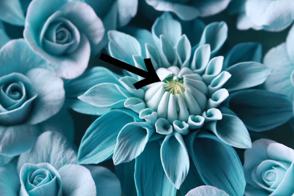 こば💐【粘土】でお花を作る人@5/3九州コミティアL13.14 tweet media