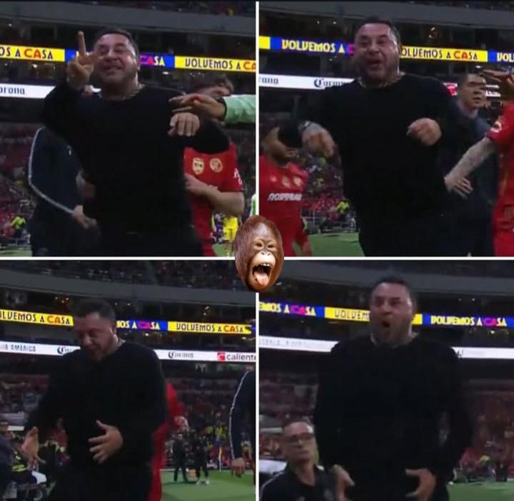 🦅 El PsicoLoco del fútbol ⚽️ tweet media