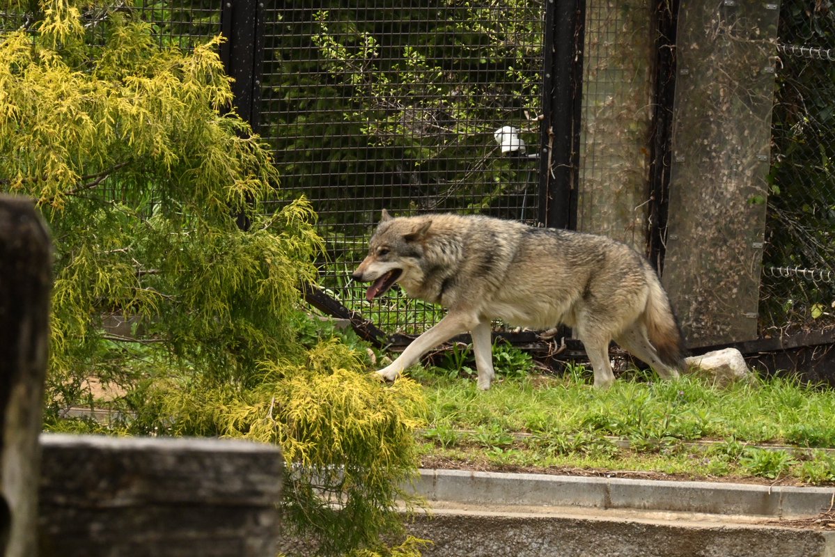 晴天(てん) tweet media