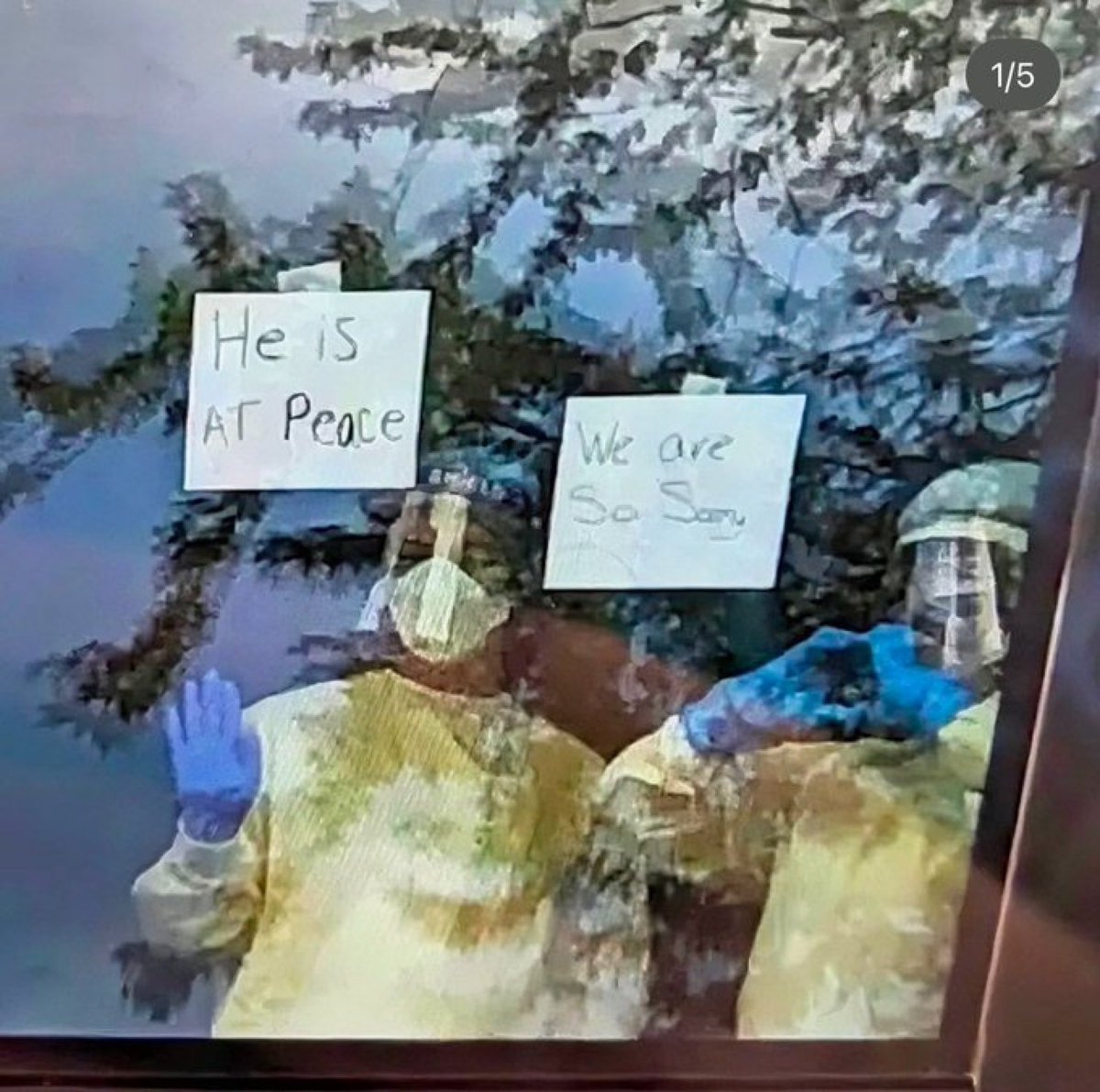 Possum Reviews tweet media