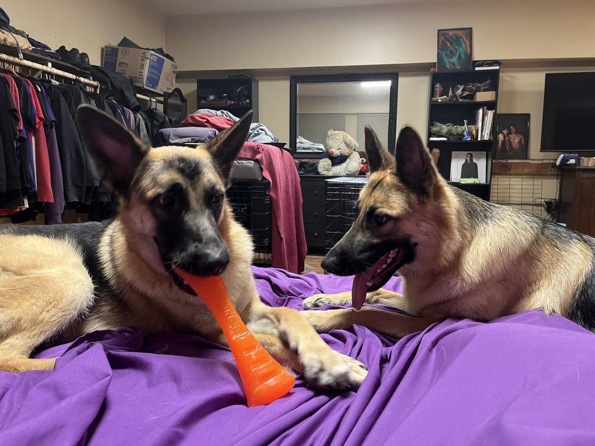 Drew Bacchae tweet media