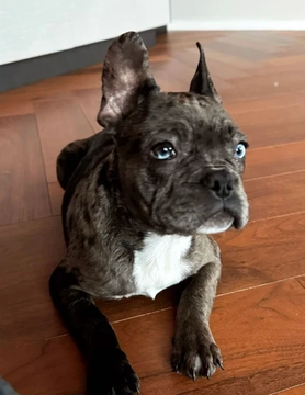 Badirishh 💊💊 tweet media