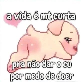 serjota15🦊 tweet media