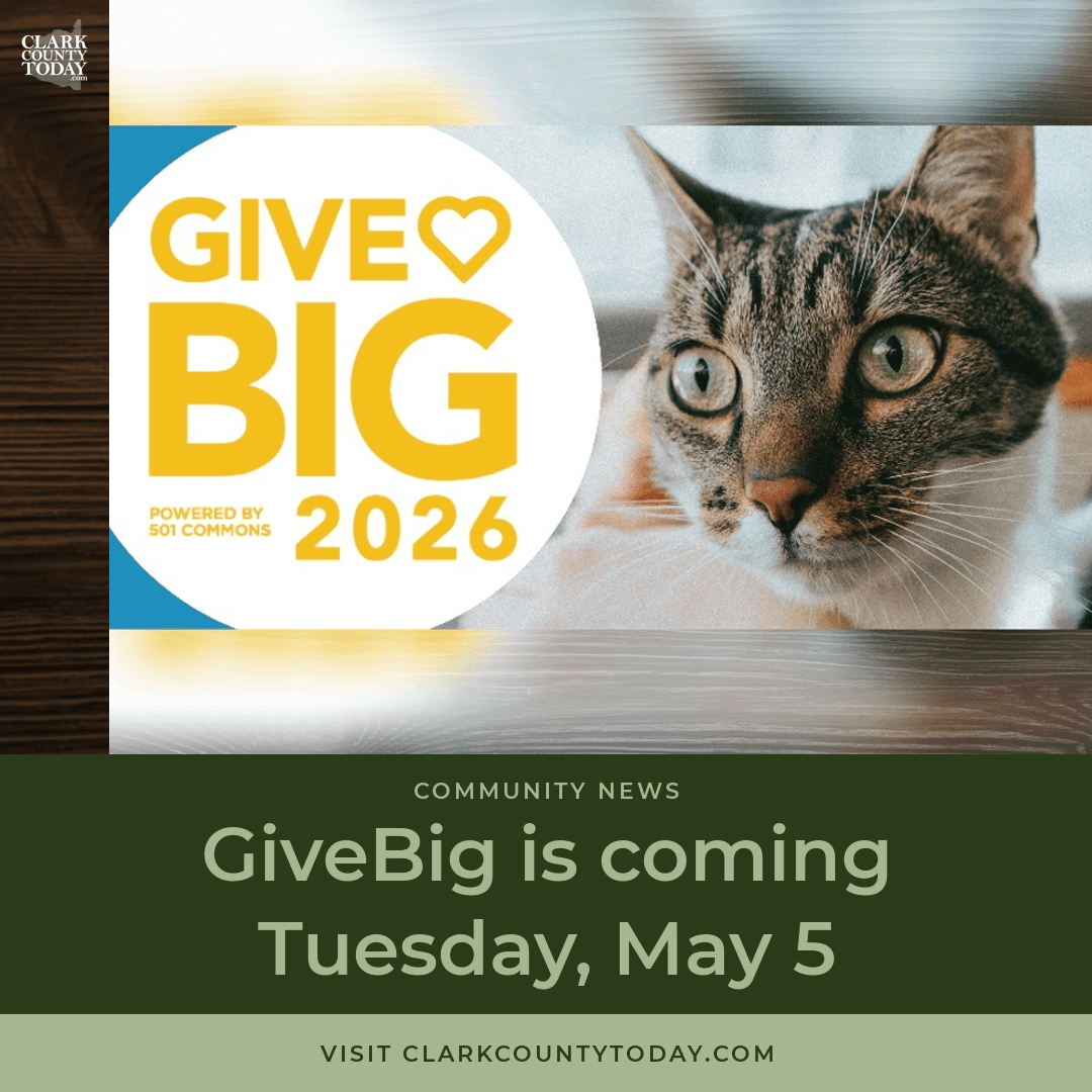 NewsFromCCT's tweet image. Furry Friends spent $265,000 on medical treatments for rescued cats last year. The Vancouver rescue seeks $10,000 during GiveBig May 5, with match donors doubling contributions. clarkcountytoday.com/news/givebig-i… #FurryFriends #GiveBig #CatRescue