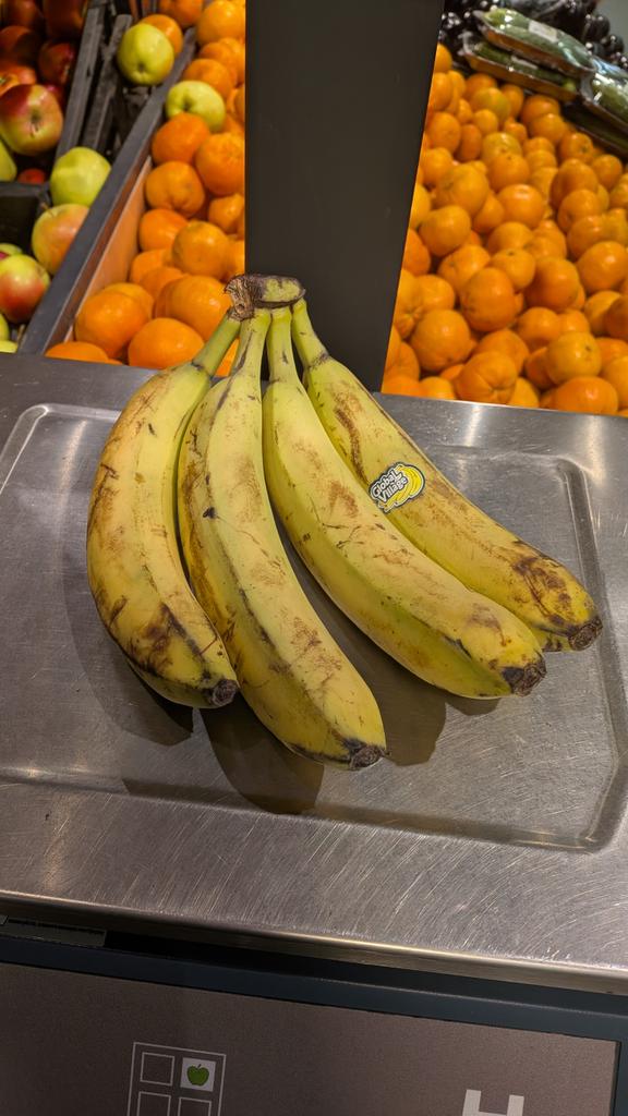 Лосось в кустах черники tweet media