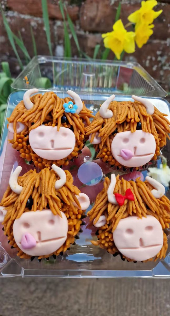 cupcakelinda05's tweet image. I'd make these everyday if I could 😍🧁🐂🤎🧡

#highlandcow #cupcakes #moo #handmade 

Linda's Cupcakes 🧁🐂🤎🧡