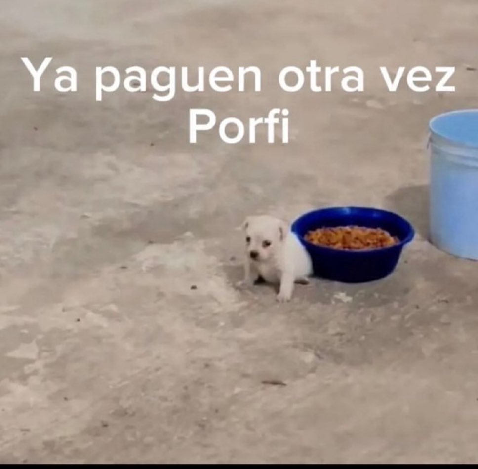 🌙 mini textos tweet media