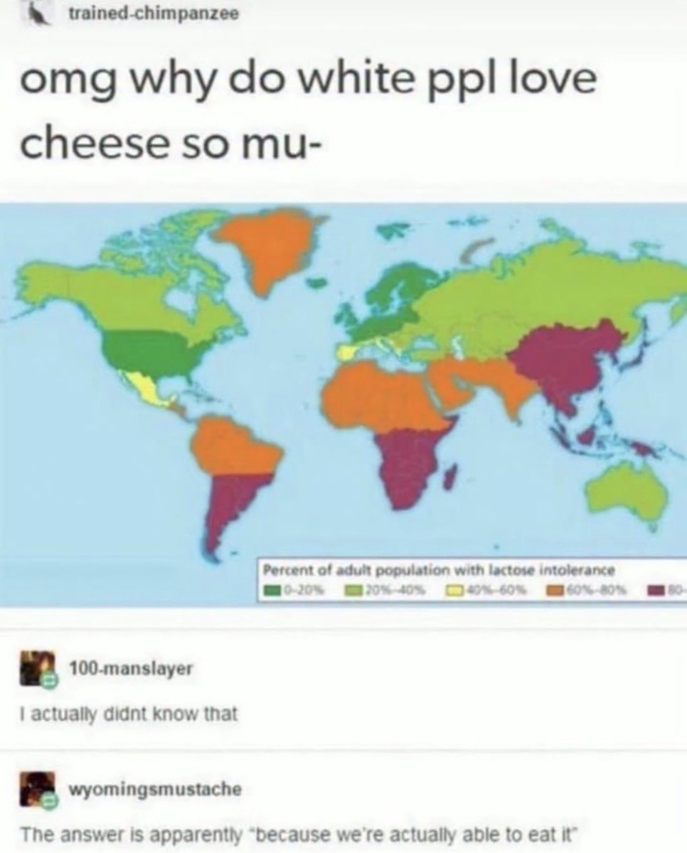 Rothmus 🏴 tweet media