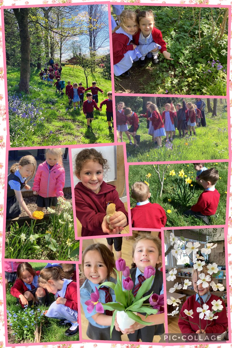 EYFSwithMissS's tweet photo. This week we have begun our new topic of Our Wonderful World and have shown great excitement, awe and wonder when investigating the world around us using all our senses. We were delighted to find so many signs of spring! 🌷🪺🐣 https://t.co/ujUtNWKPNw