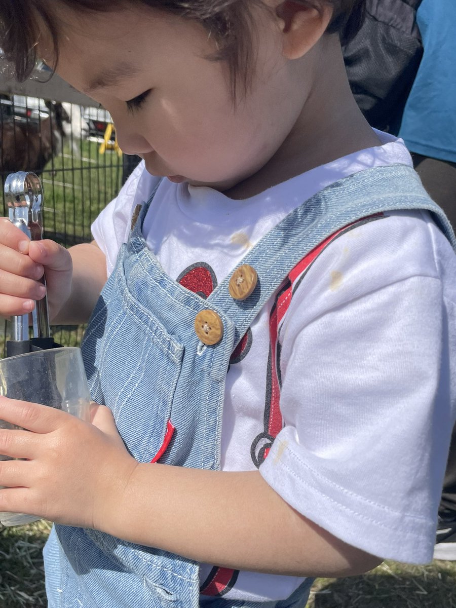 ななねこ🐈🎀🌻 tweet media