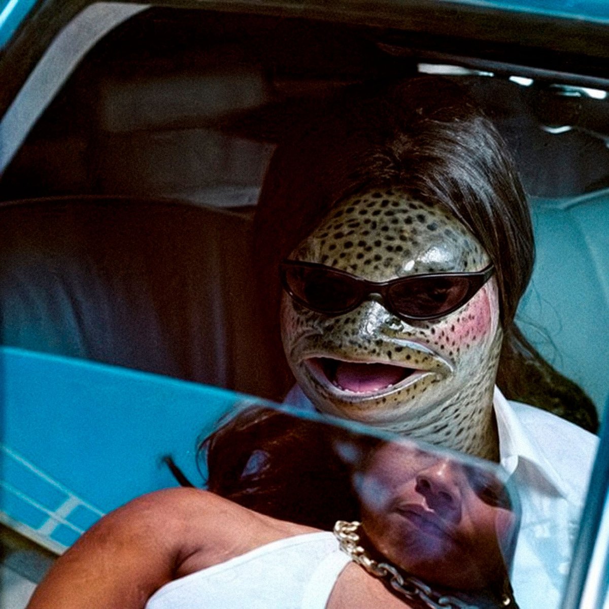 wytch33's tweet photo. $BigTrout mode. https://t.co/rykDoXEtu7