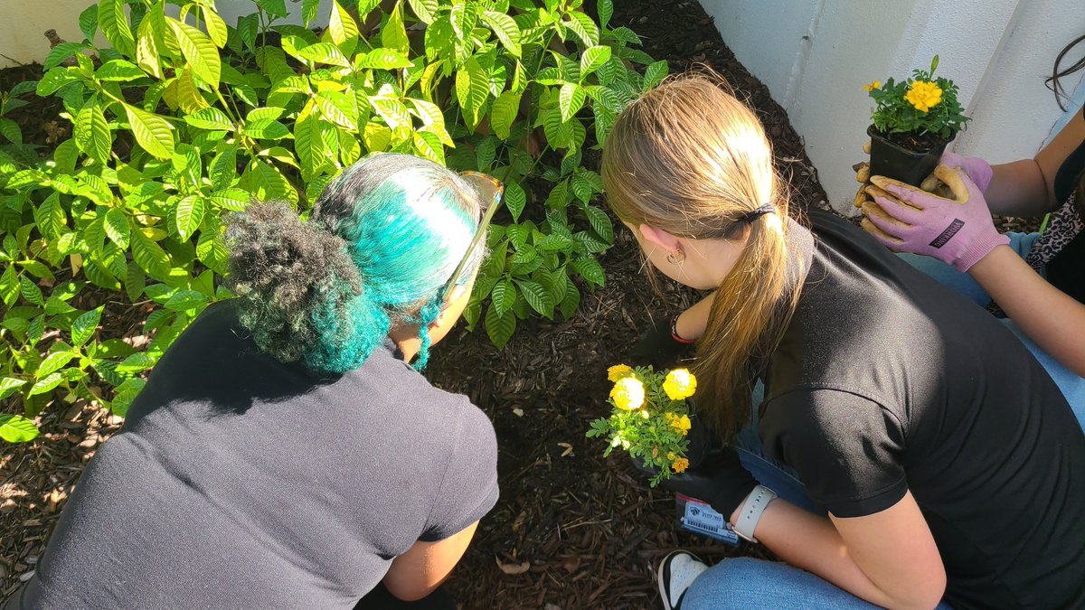 Silver Trail Middle School - Home of the Mustangs tweet media