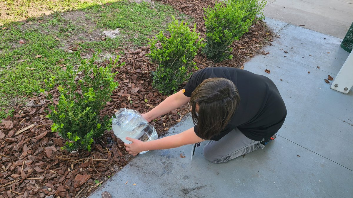 Silver Trail Middle School - Home of the Mustangs tweet media