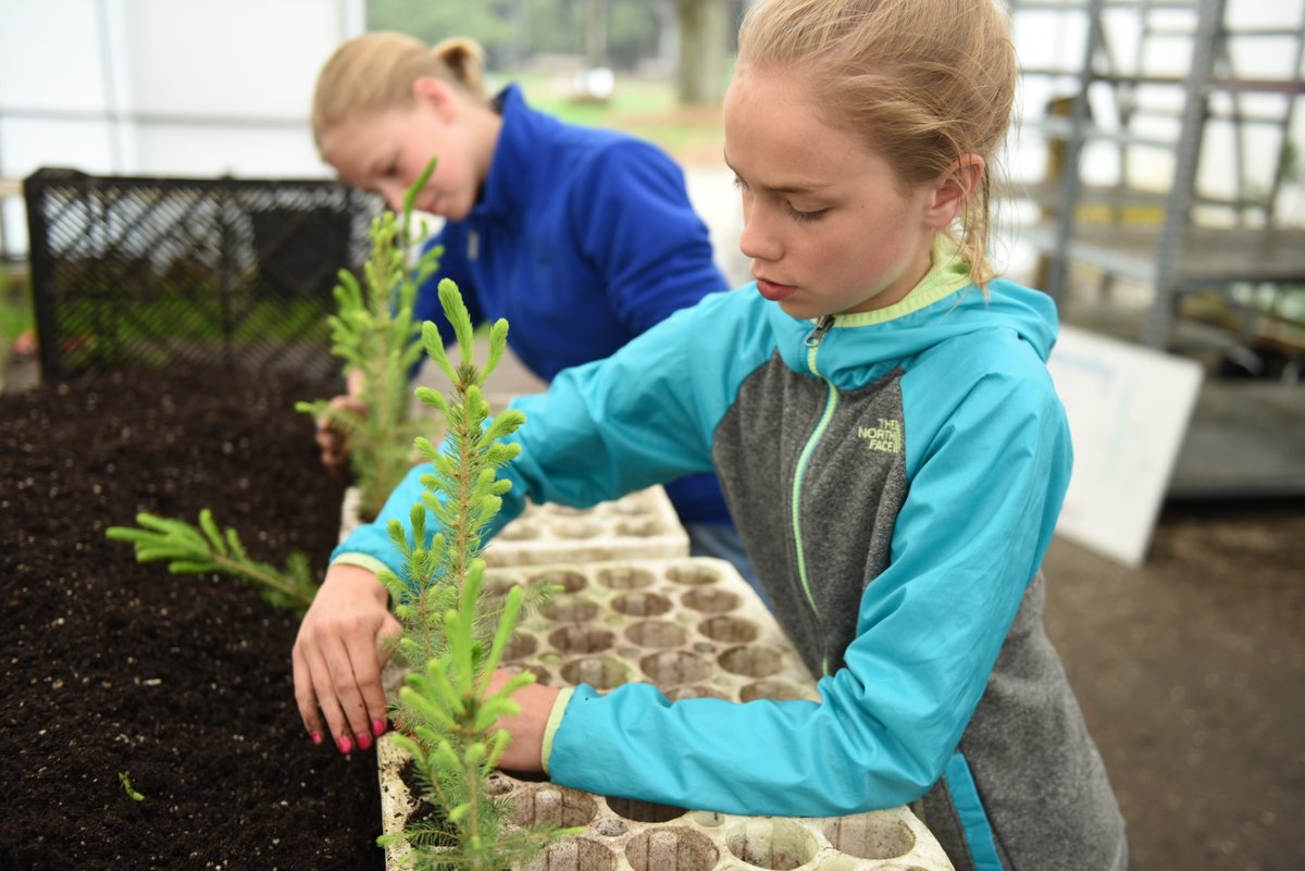 wellingtncounty's tweet image. Happy National Volunteer Week to all our #GreenLegacy volunteers! 🌱🌲

The Green Legacy is supported by thousands of incredible community volunteers, students, and landowners who help bring the programme to life and help us build a greener Wellington County. 💚