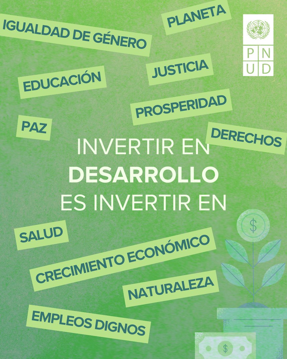 ONU Desarrollo tweet media