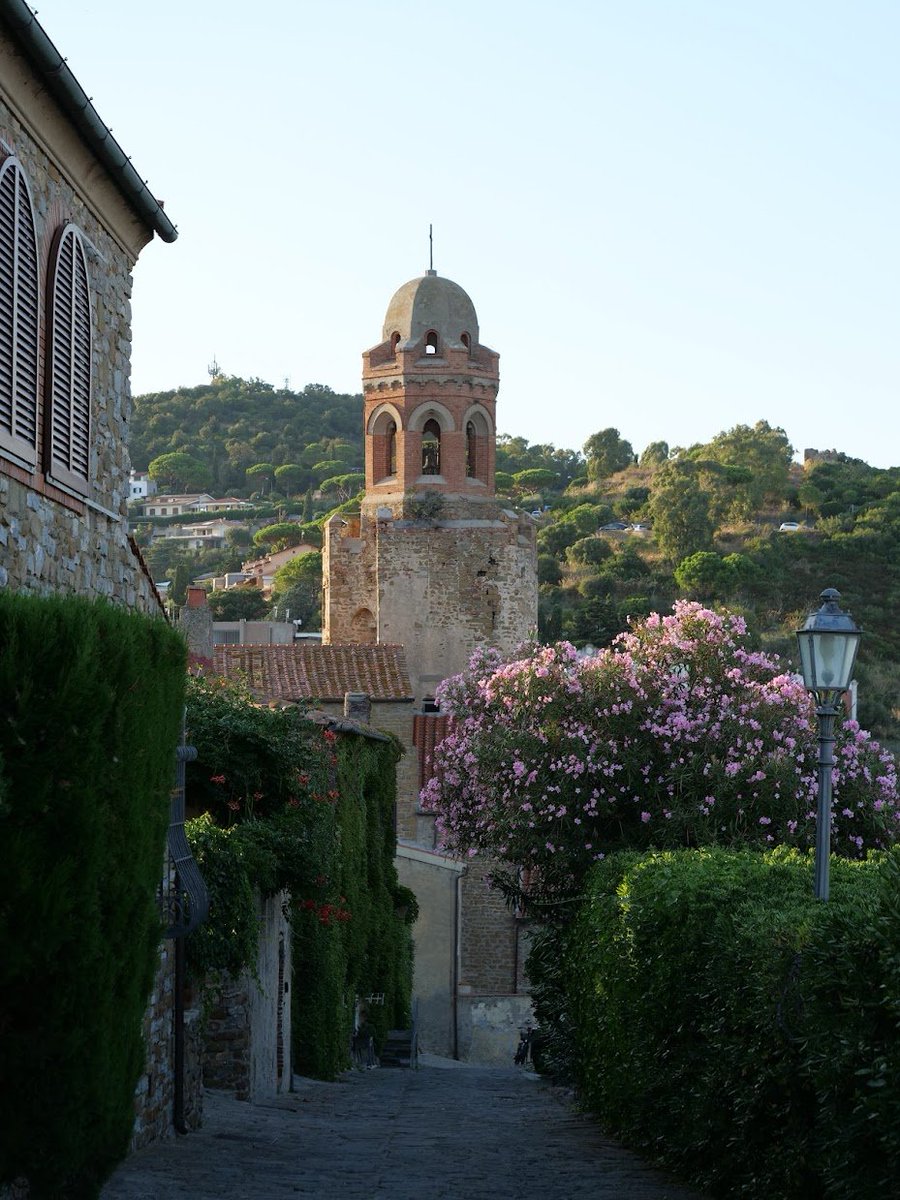 Pescegatti tweet media