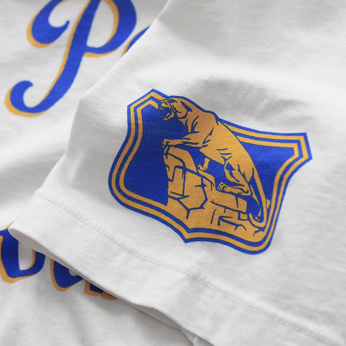 ShopPittPanthers.com tweet media