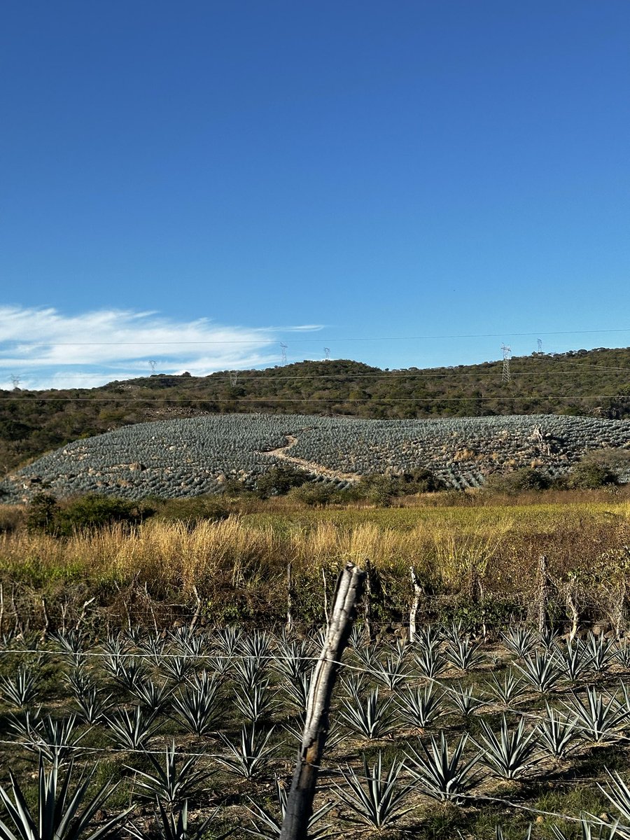 Ximena Gutierrez tweet media