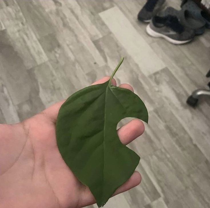 Iba andando por la calle y me he encontrado este mueble, qué os parece?