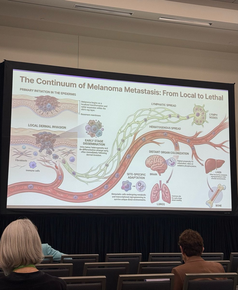 PatrickHwuMD's tweet photo. At #AACR26, Eva Hernando-Monge of NYU Langone's @Perlmutter_CC shared important insights into how melanoma evolves and spreads, highlighting the complexity of tumor progression and early metastasis. #AACR26 https://t.co/JWJMk8abiq