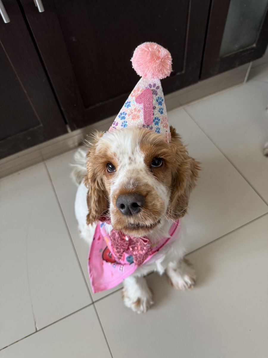 simlishy's tweet photo. my daughter is 1.. https://t.co/2j3FWD9WEc