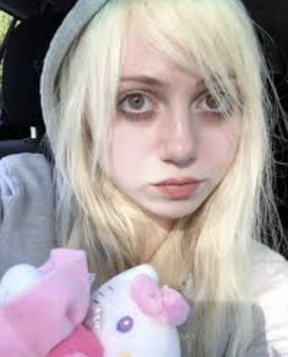 Vex Electronica tweet media