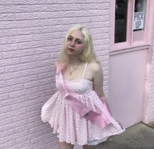 Vex Electronica tweet media