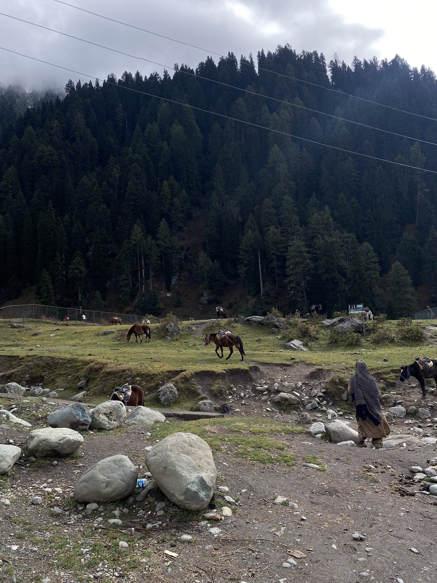 ขิมห้าหกดิวะ ✌︎ tweet media