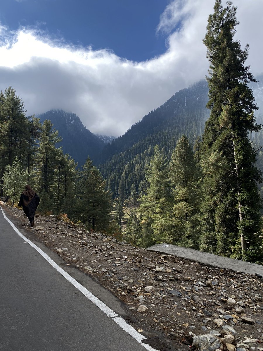 ขิมห้าหกดิวะ ✌︎ tweet media