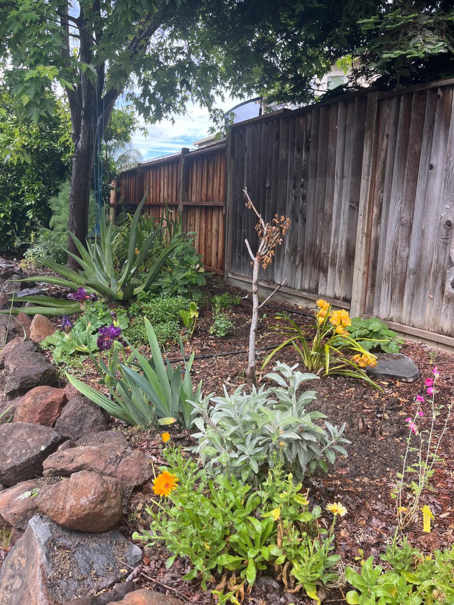 Laura Devlin tweet media