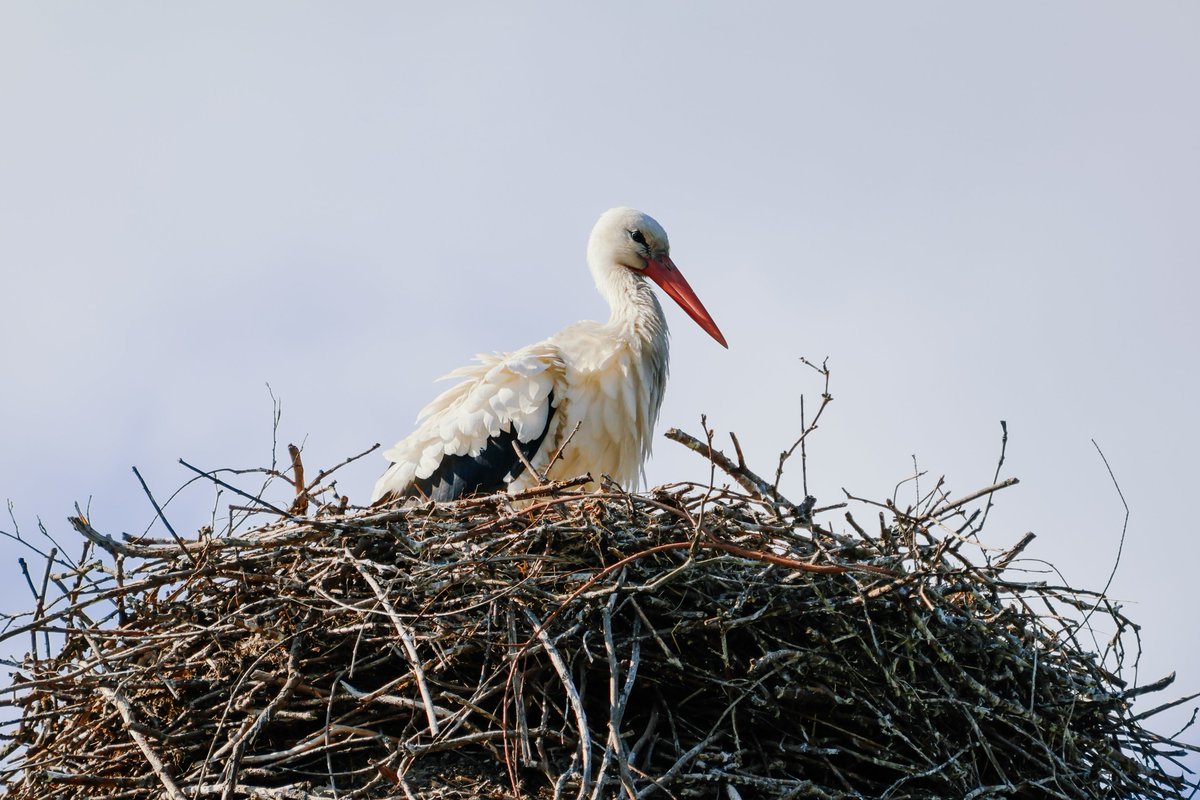 I felt divinely protected and then I looked up
