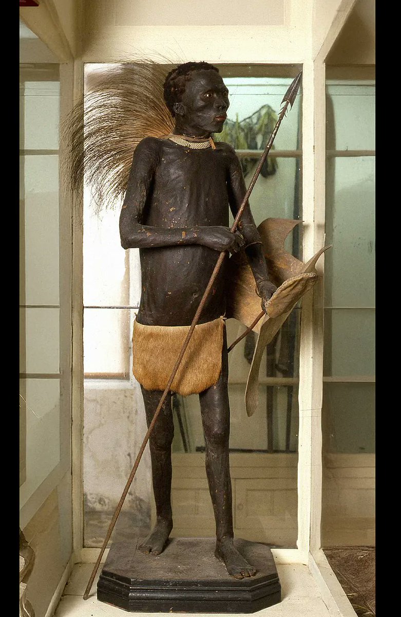 Masmitjans tweet media