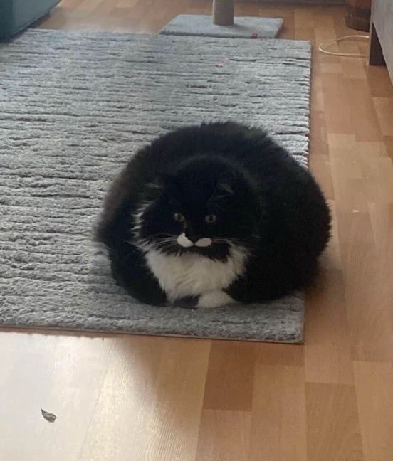 Screen Mix tweet media