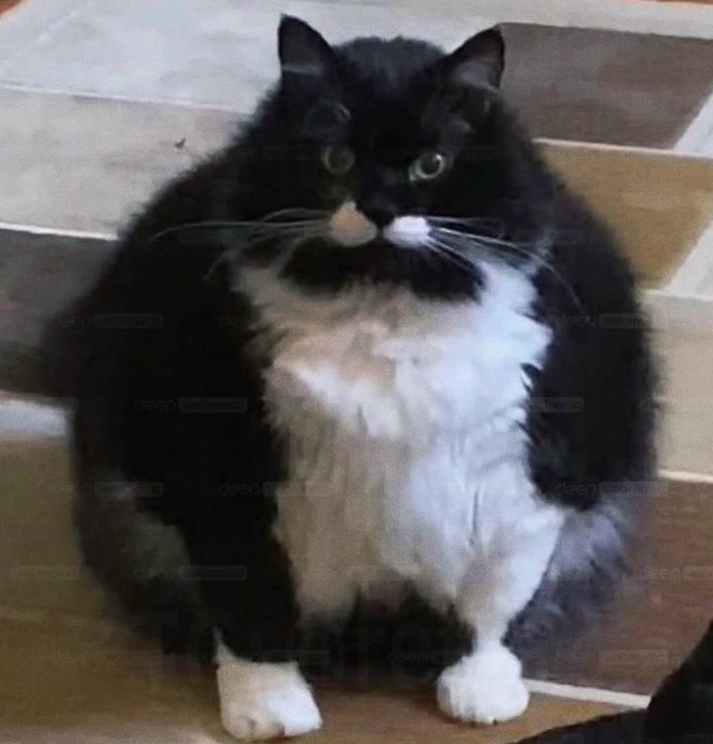 Screen Mix tweet media