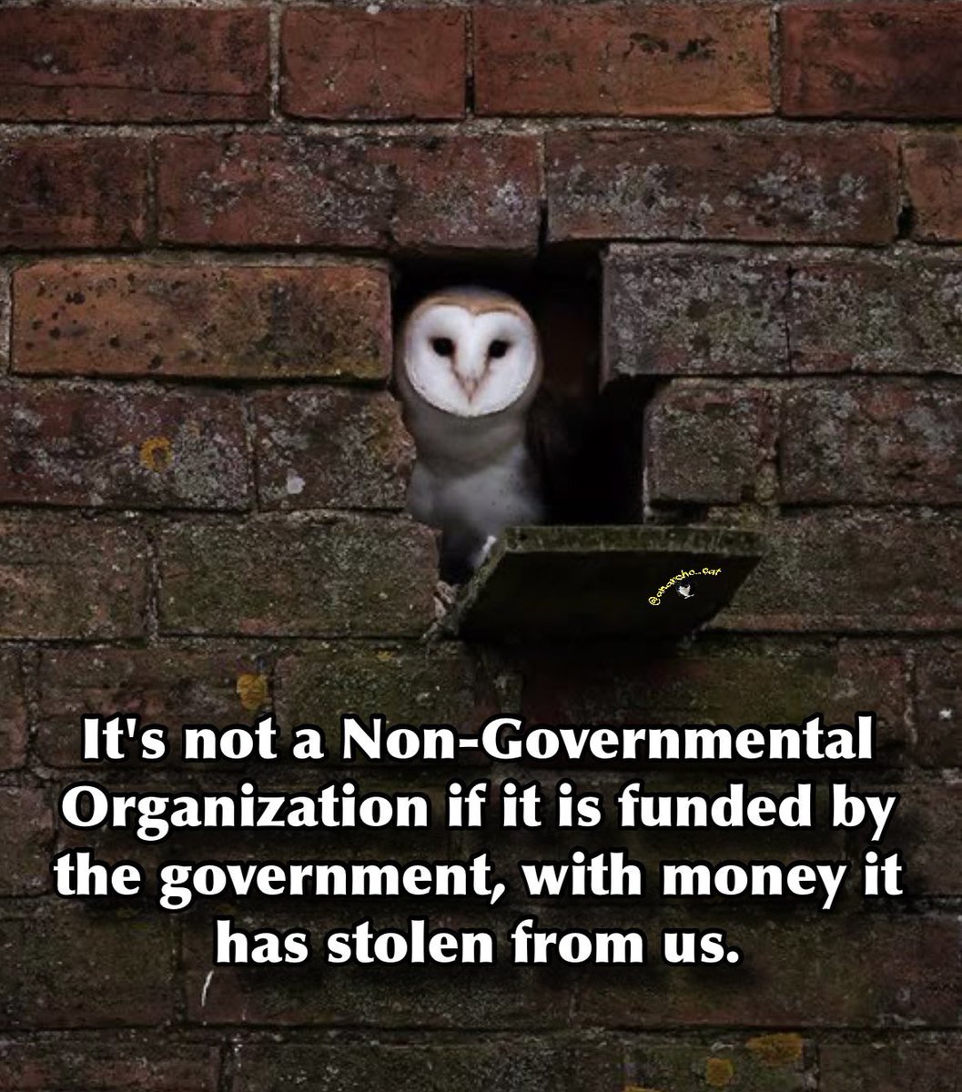 RubiconJay tweet media