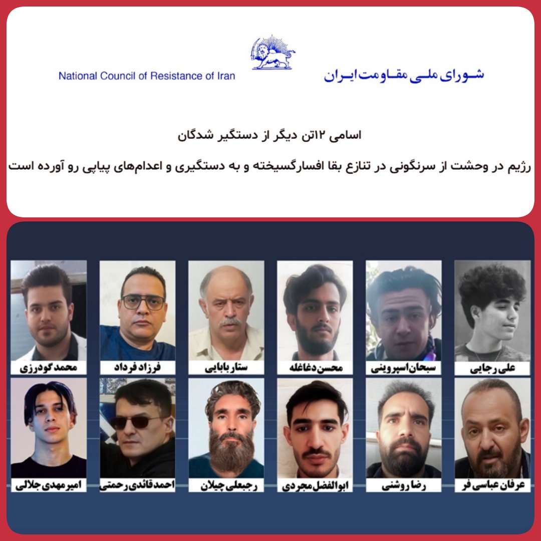 Bita Frozesh tweet media