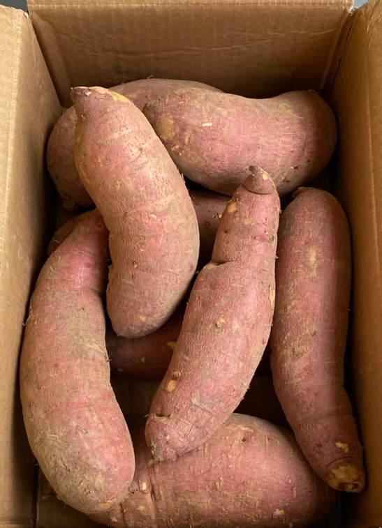 bertie bassett tweet media