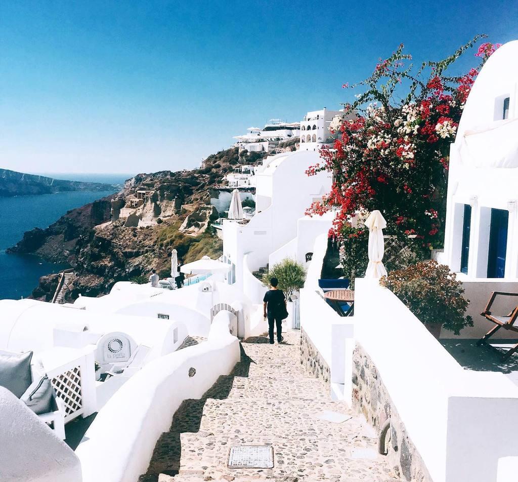 Надежда Ковинька tweet media