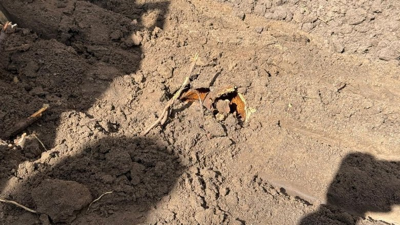 Tomasz Maciejczuk tweet media