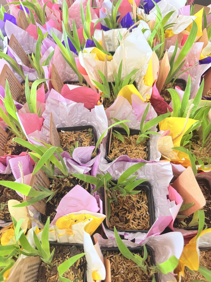 Wednesday April 22nd is Earth Day 🌱To celebrate with our residents we will be giving out free Iris Cristata plants for you to take home, grow and enjoy!
Plants will be placed in the main lobby of your building at 10am until supplies last. Please take only one per...