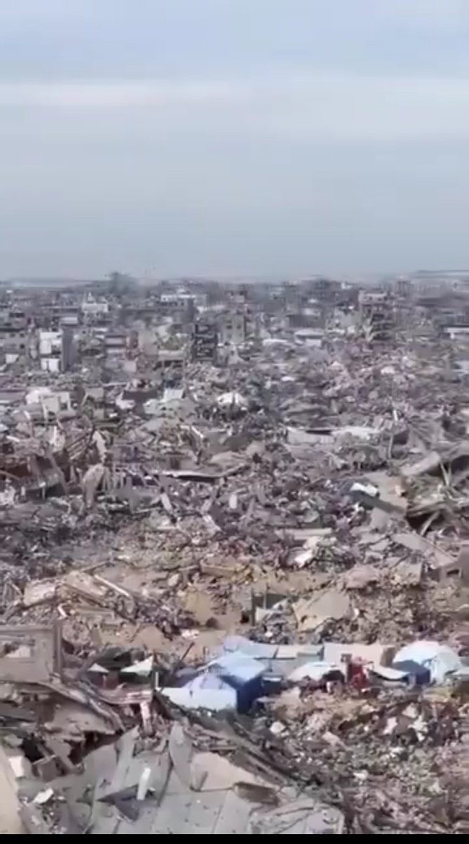 jasson shah kosh tweet media