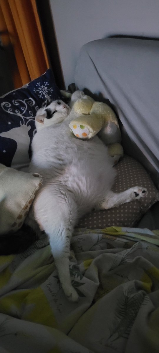 Dev-Pati tweet media