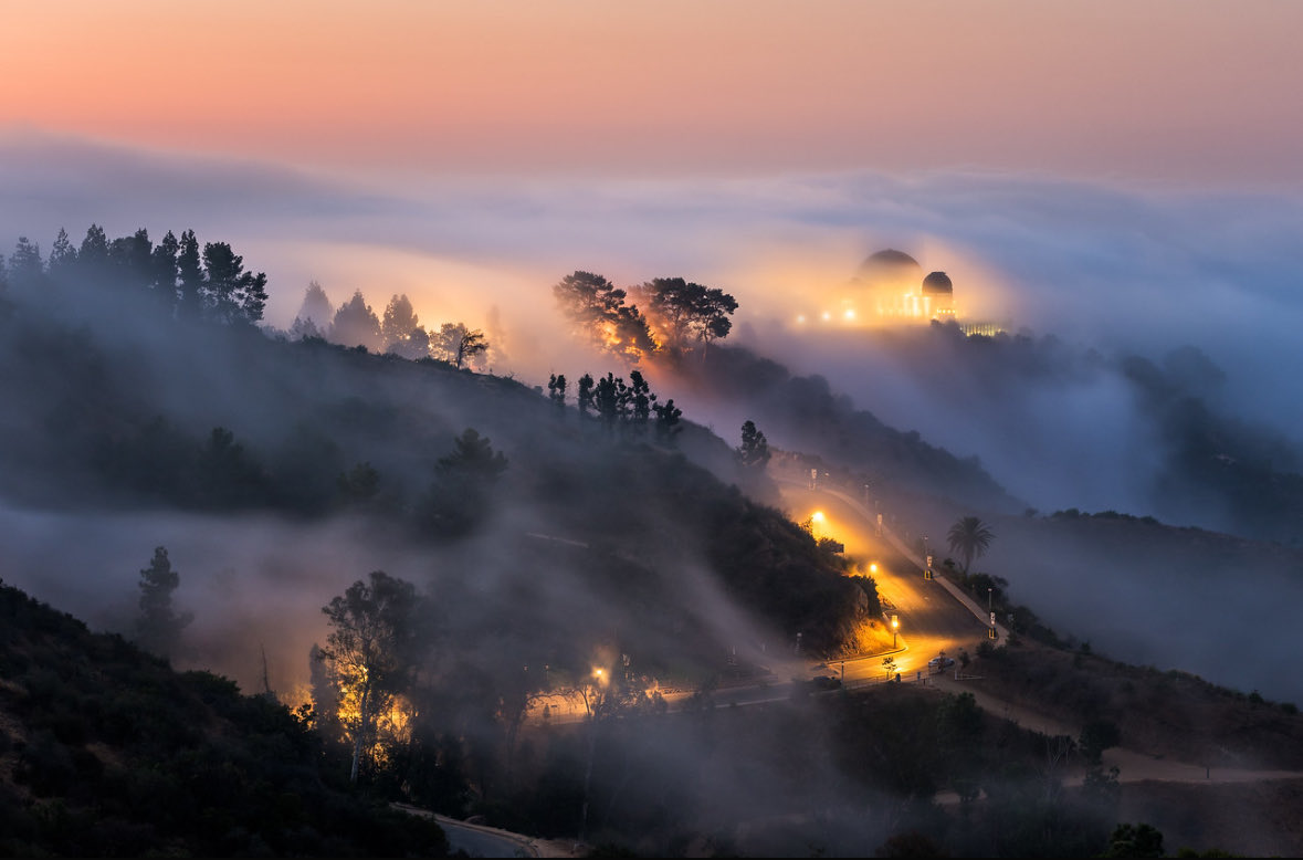 Brandon Yoshizawa tweet media