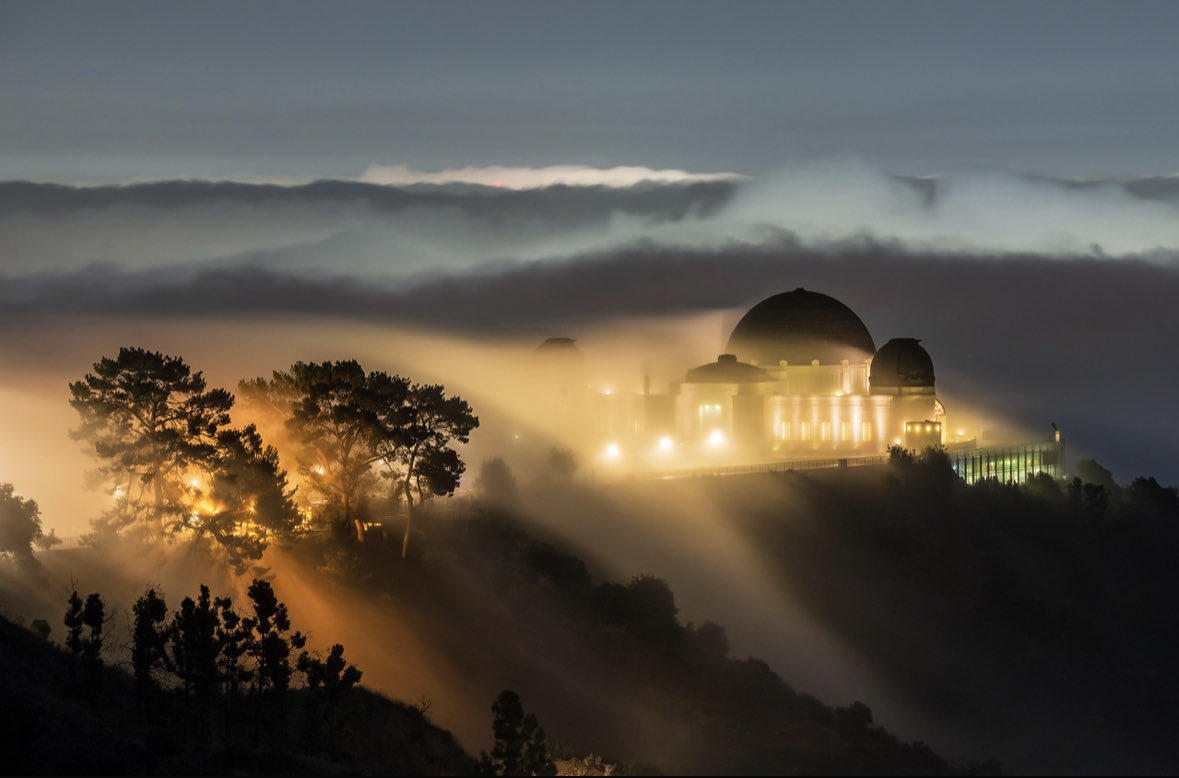 Brandon Yoshizawa tweet media