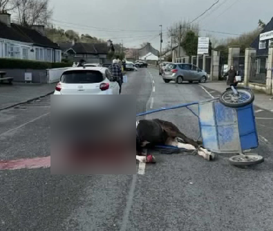 ruben_prz's tweet image. Carreras de caballos ilegales en Irlanda 😳

“Lamentablemente no es un incidente aislado, conocemos muy bien las consecuencias de que los caballos corran para salvar sus vidas y sean abandonados a morir en nuestras carreteras"