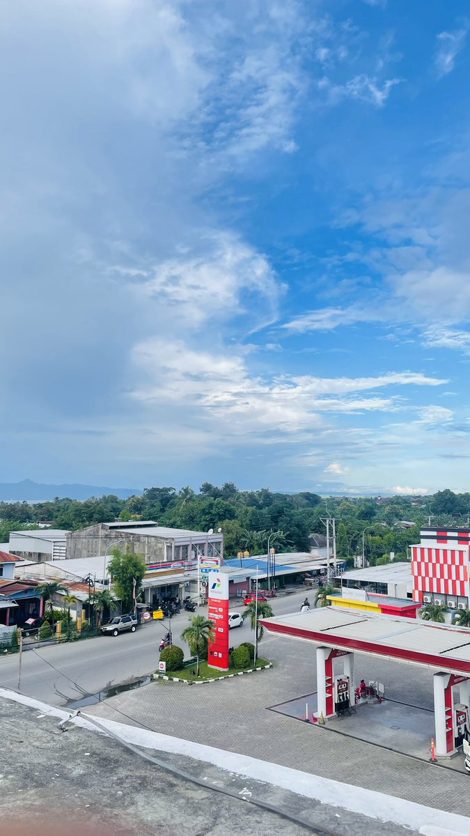 jamur ʕ•͓͡•ʔ tweet media