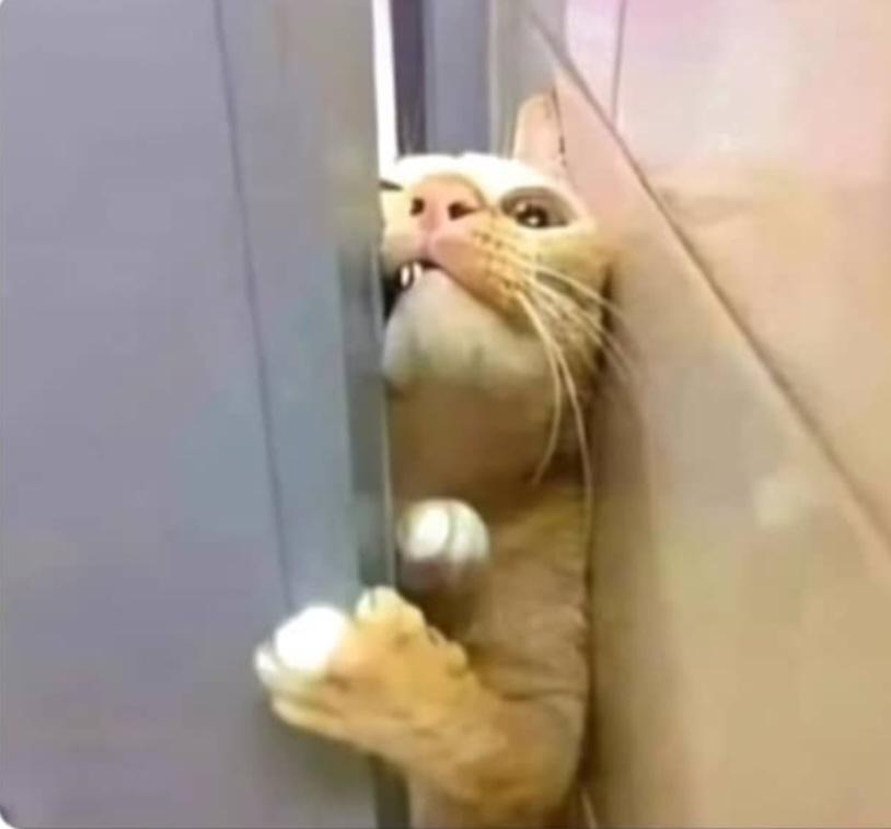 better days is here 🙏 tweet media