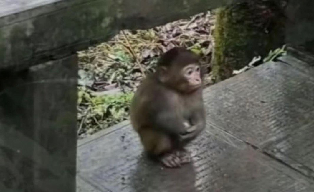 inan bilmiyorum tweet media