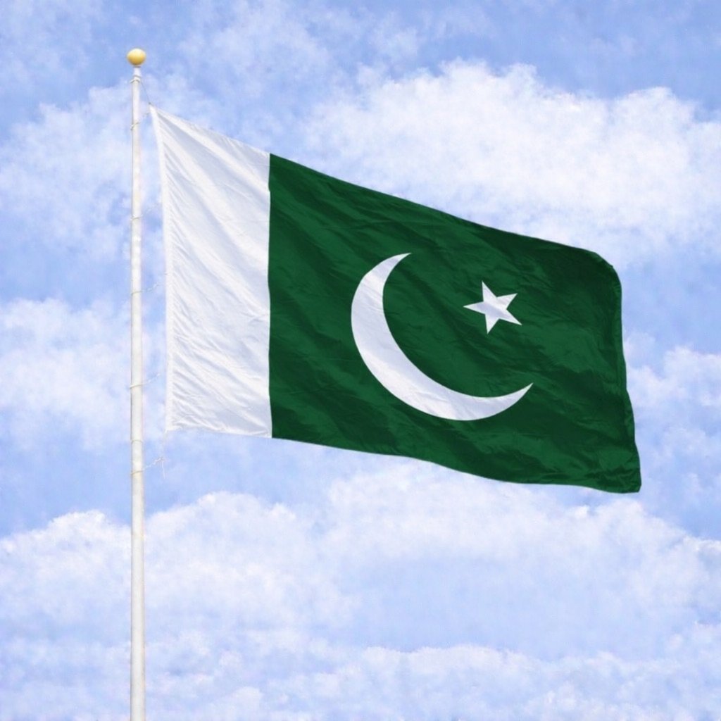 BRICS News tweet media